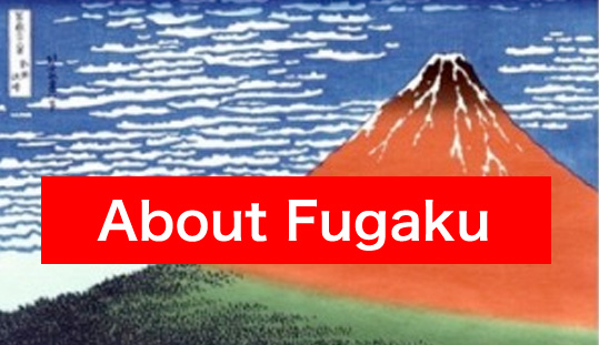 About Fugaku